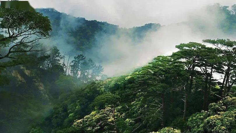探索河南嫁到湖南没迁户口医保能迁到湖南吗?