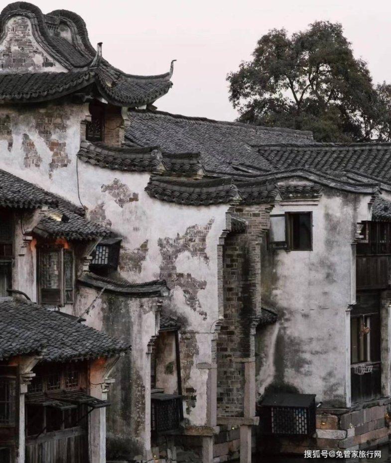 大白猫逃脱